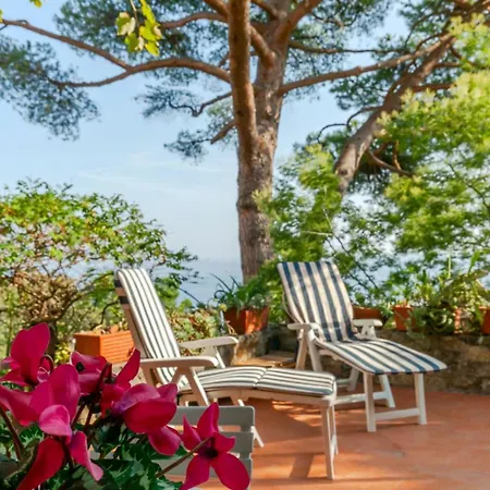 Al Grande Pino - A Picco Sul Mare Villa Arenzano Exterior photo